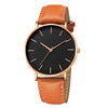 Simple Leather Men's Luxury Watches Dream Z