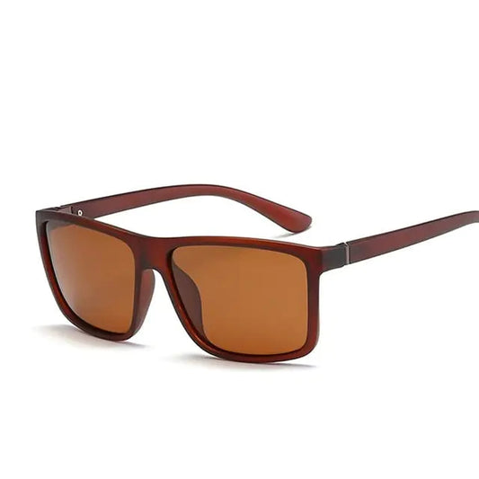 Polaroid Unisex Sunglasses Dream Z