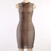 Ephemeral Elegance Sheer Mini Dress Dream Z