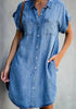 Chic Denim Shift Skirt Dream Z